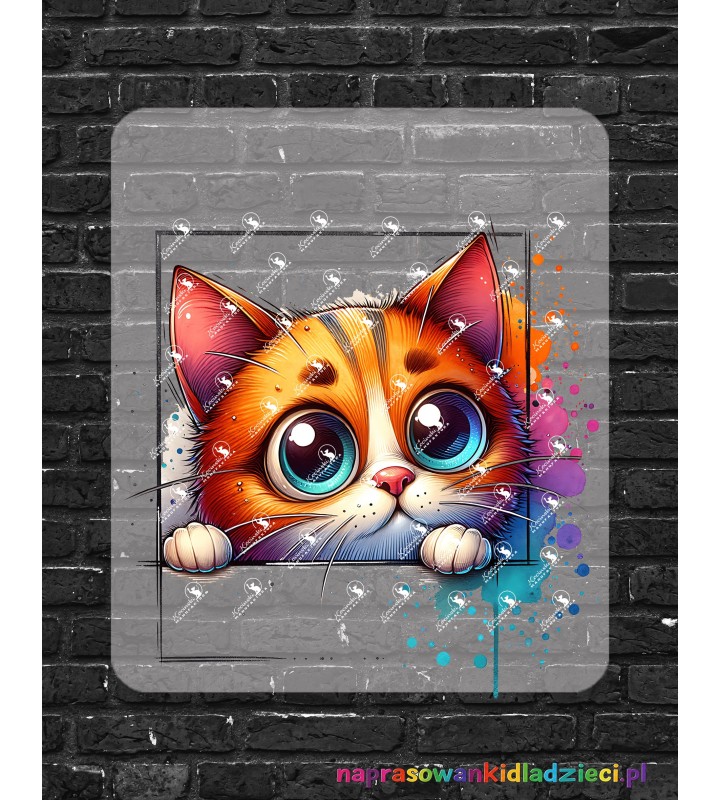 Śmieszne  Zwierzaki Kotek