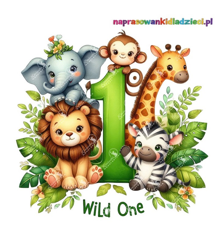 Naprasowanka, naklejka, Naprasowanka dla dzieci, Naklejka dla dzieci, Naprasowanka na odzież, Naklejka na Odzież