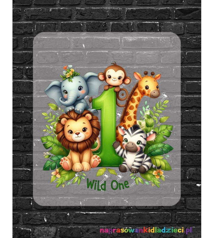 naprasowanki dla dzieci, naszywki dla dzieci,