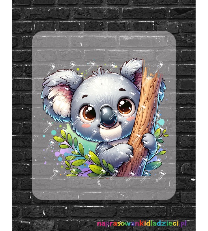 Śmieszne  Zwierzaki COALA